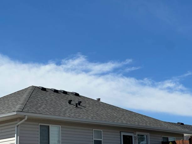 Best Asphalt Shingles Roofing  in Miles, TX